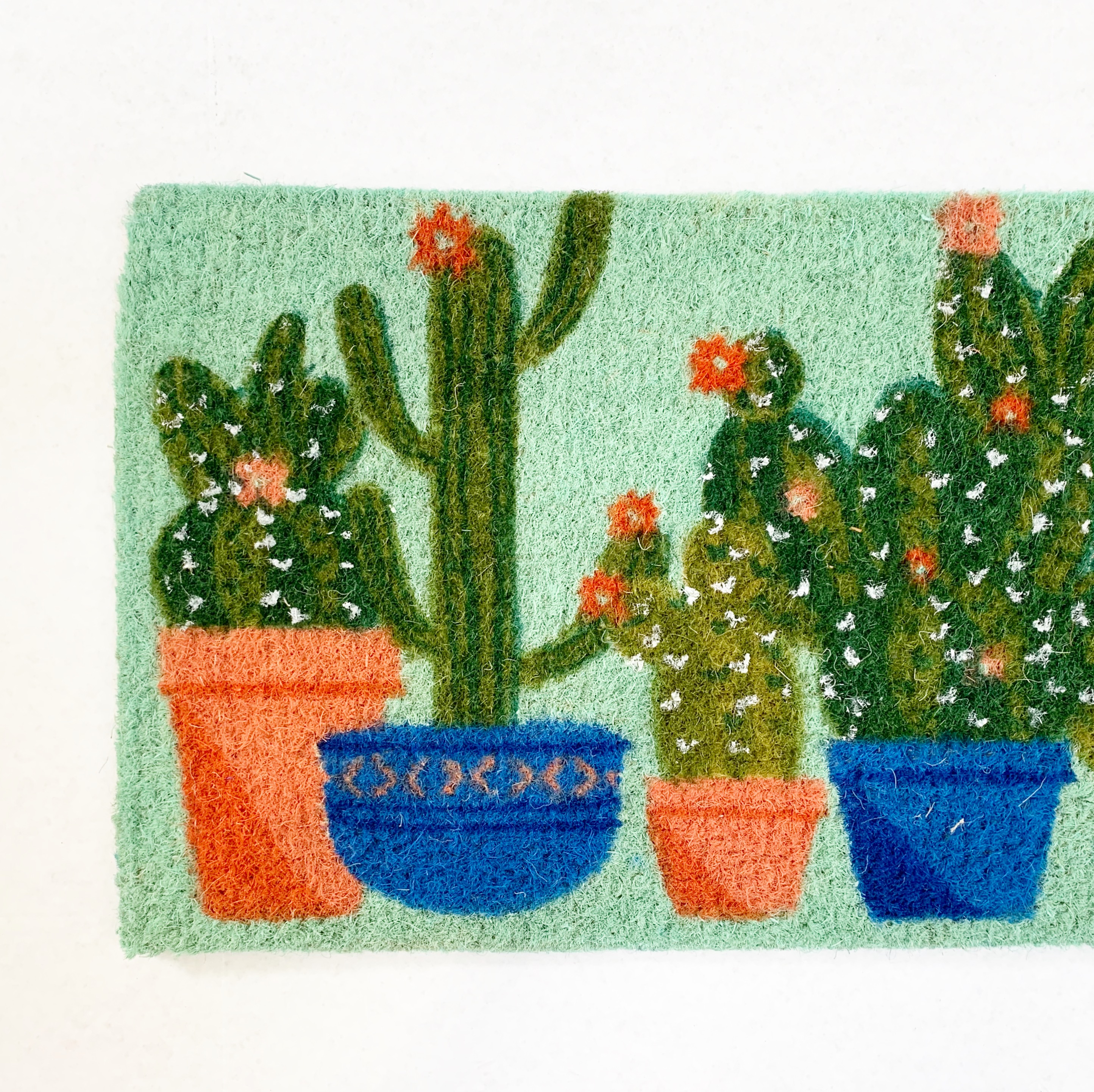 Better Homes and Gardens Cactus Doormat