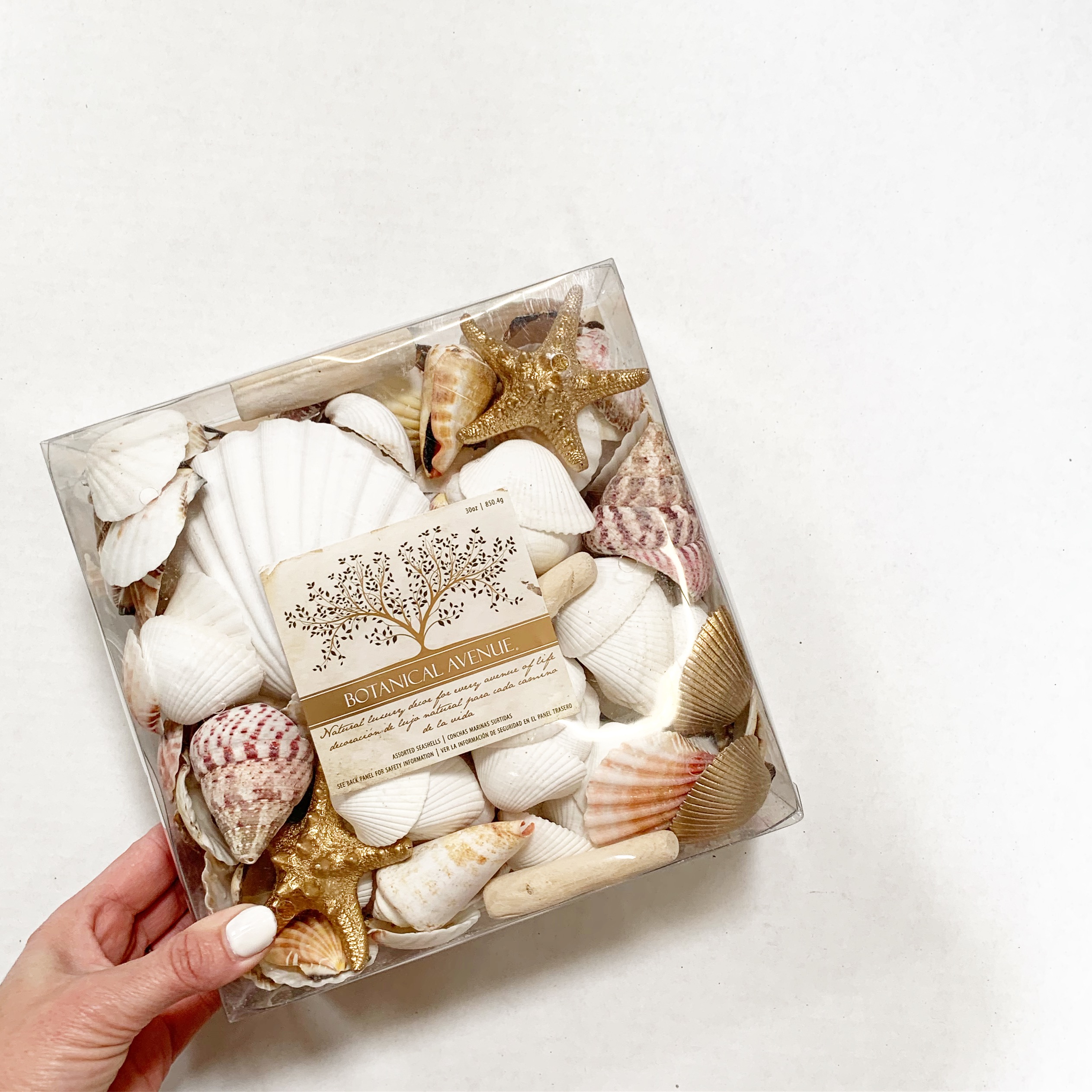 Botanical Avenue Decorative Shells