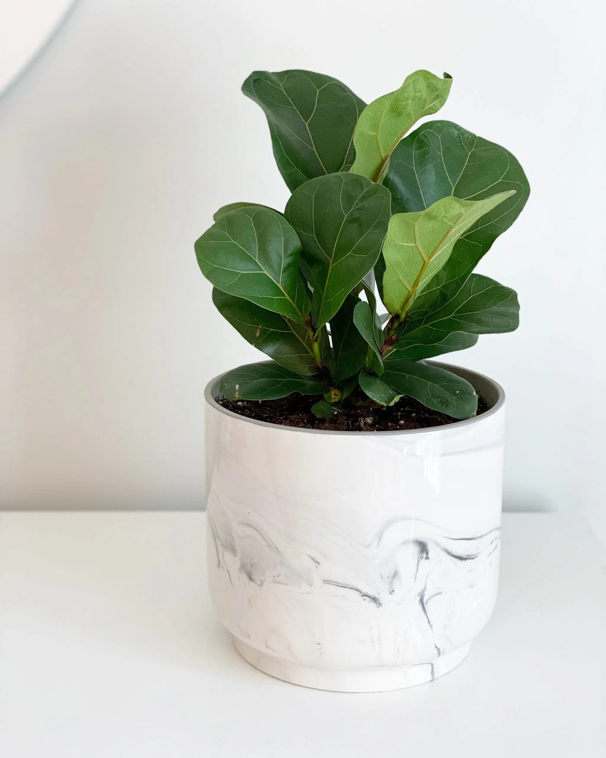 311258A8-7FD3-45C9-8B6D-0DBB18ABC5E3-scaled