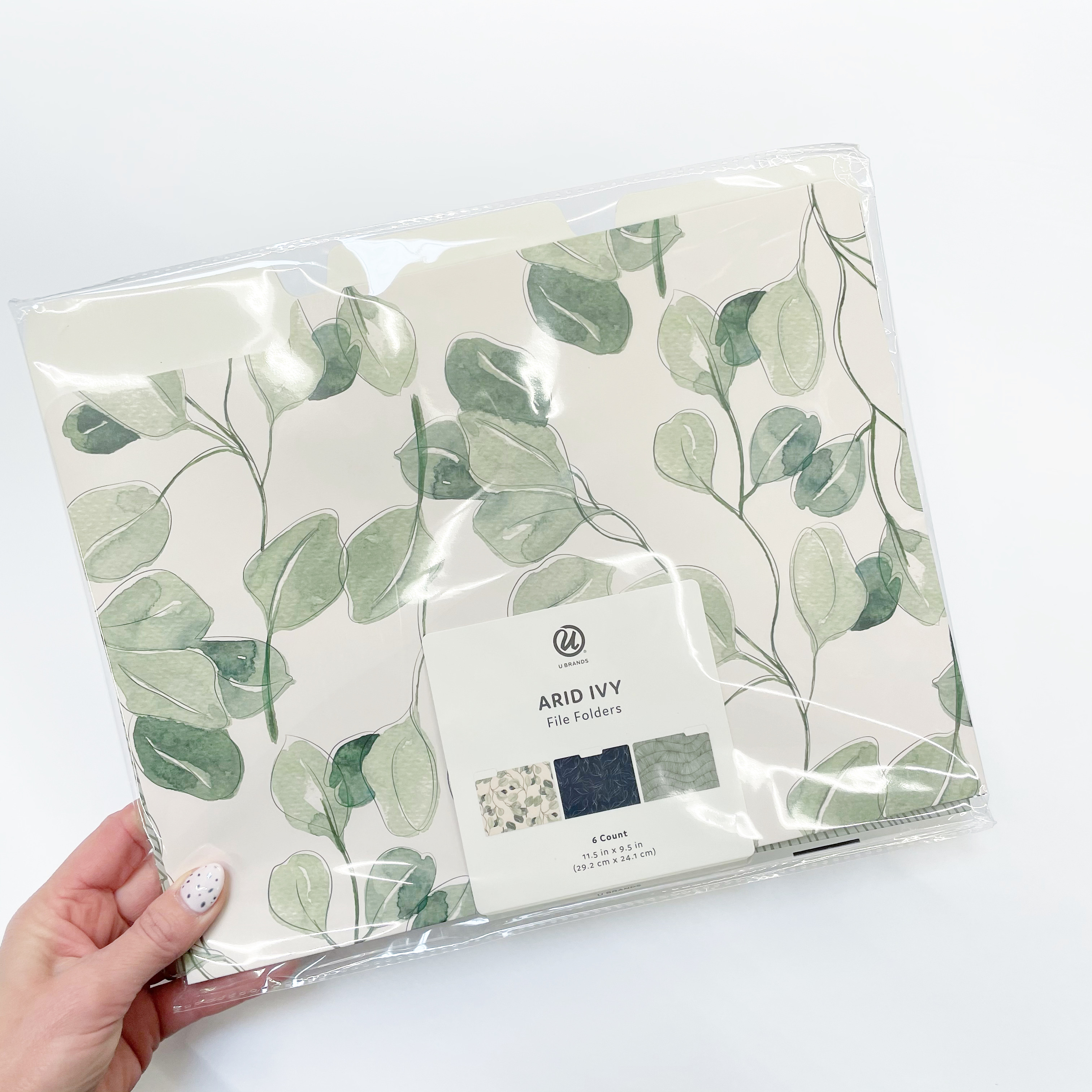 U Brands Arid Ivy File Folders