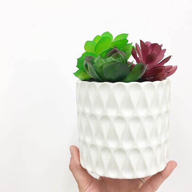 Faux Succulent White Ceramic Pot