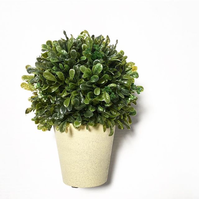 Faux Boxwood Topiary
