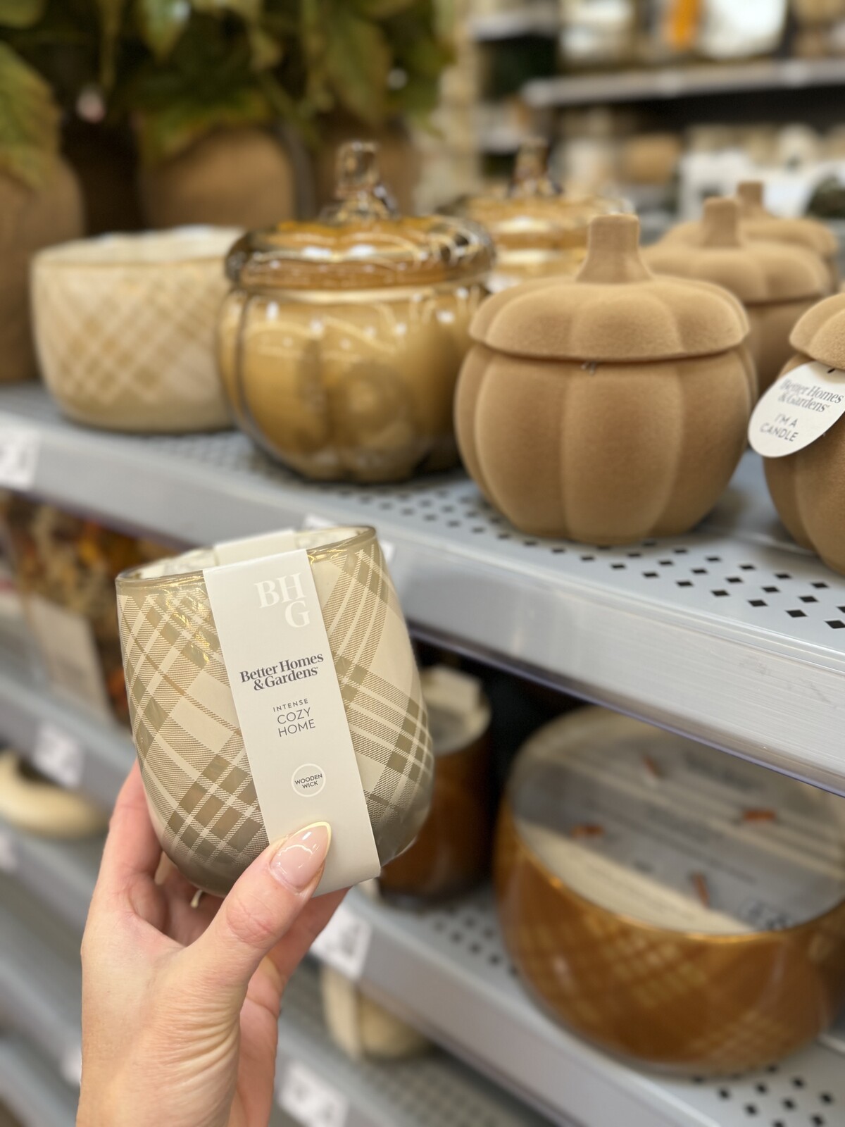 Better Homes & Gardens Fall Fragrance Collection